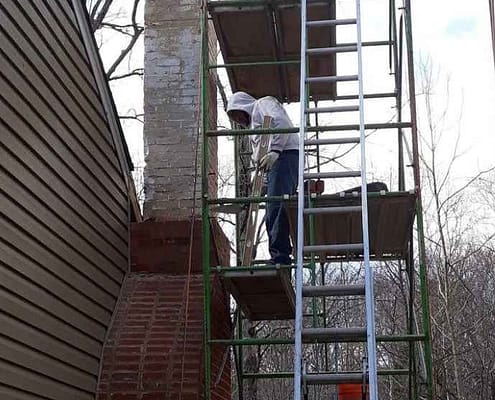 Mold growth in chimney caused by water leaks, solved with waterproofing by Sixpenny Chimney Sweeps